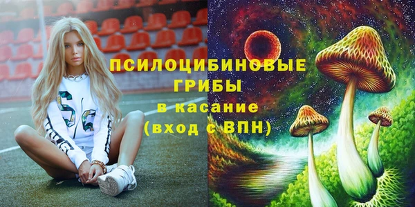 Альфа ПВП Лабытнанги