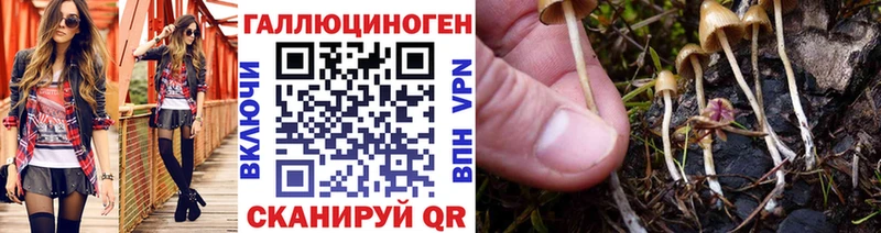 Псилоцибиновые грибы мицелий  Кяхта 